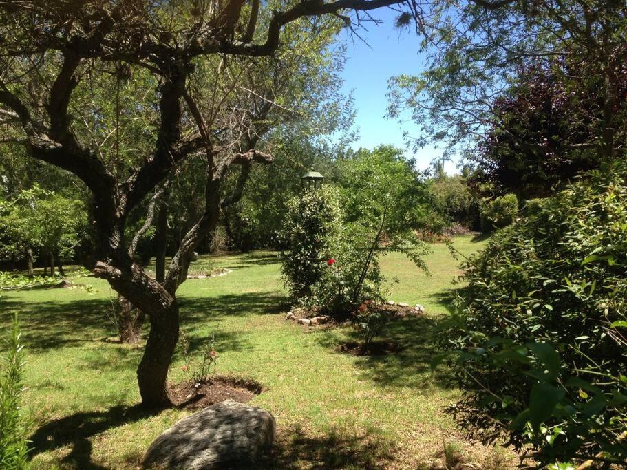 Las Lavandas - Hermoso Chalet en Villa de Merlo con vista a las sierras