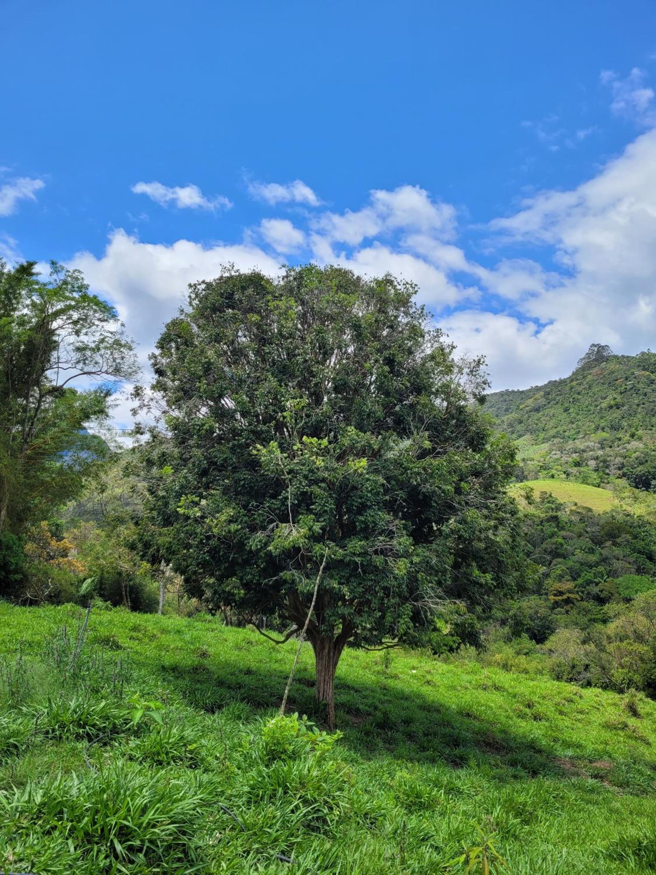 Fazendinha Paraíso