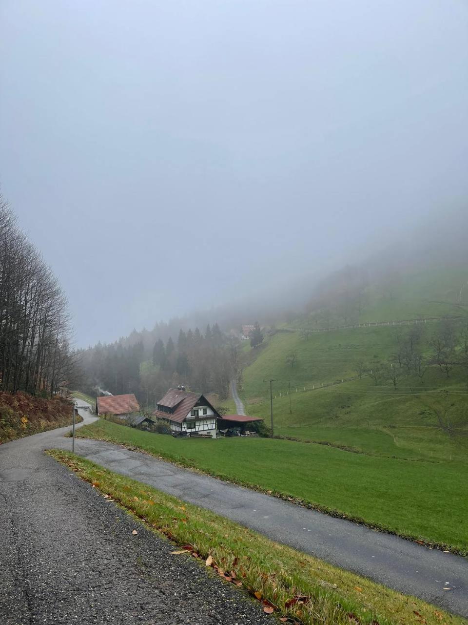 Einzigartiges Apartment, mitten in der Natur