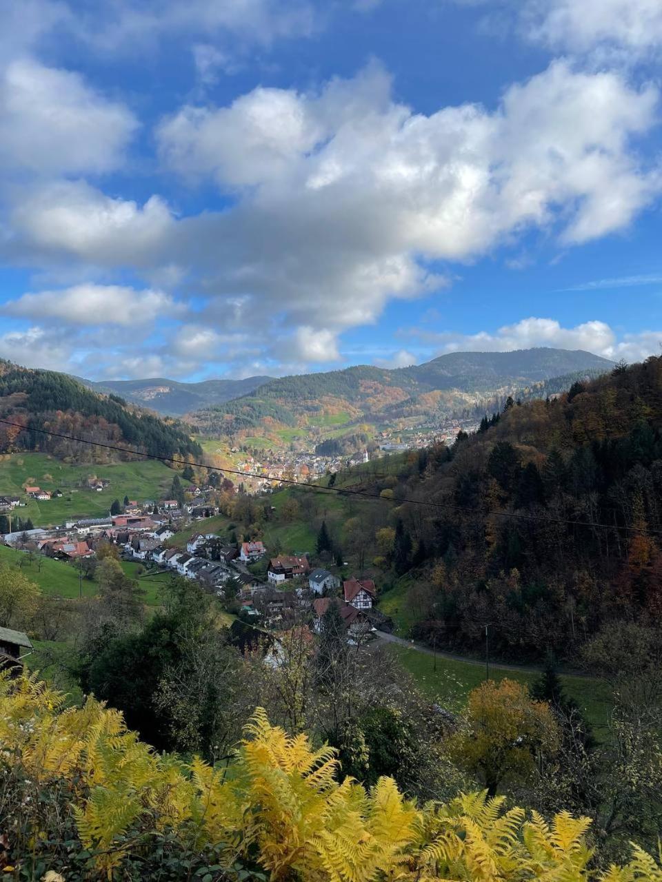 Einzigartiges Apartment, mitten in der Natur