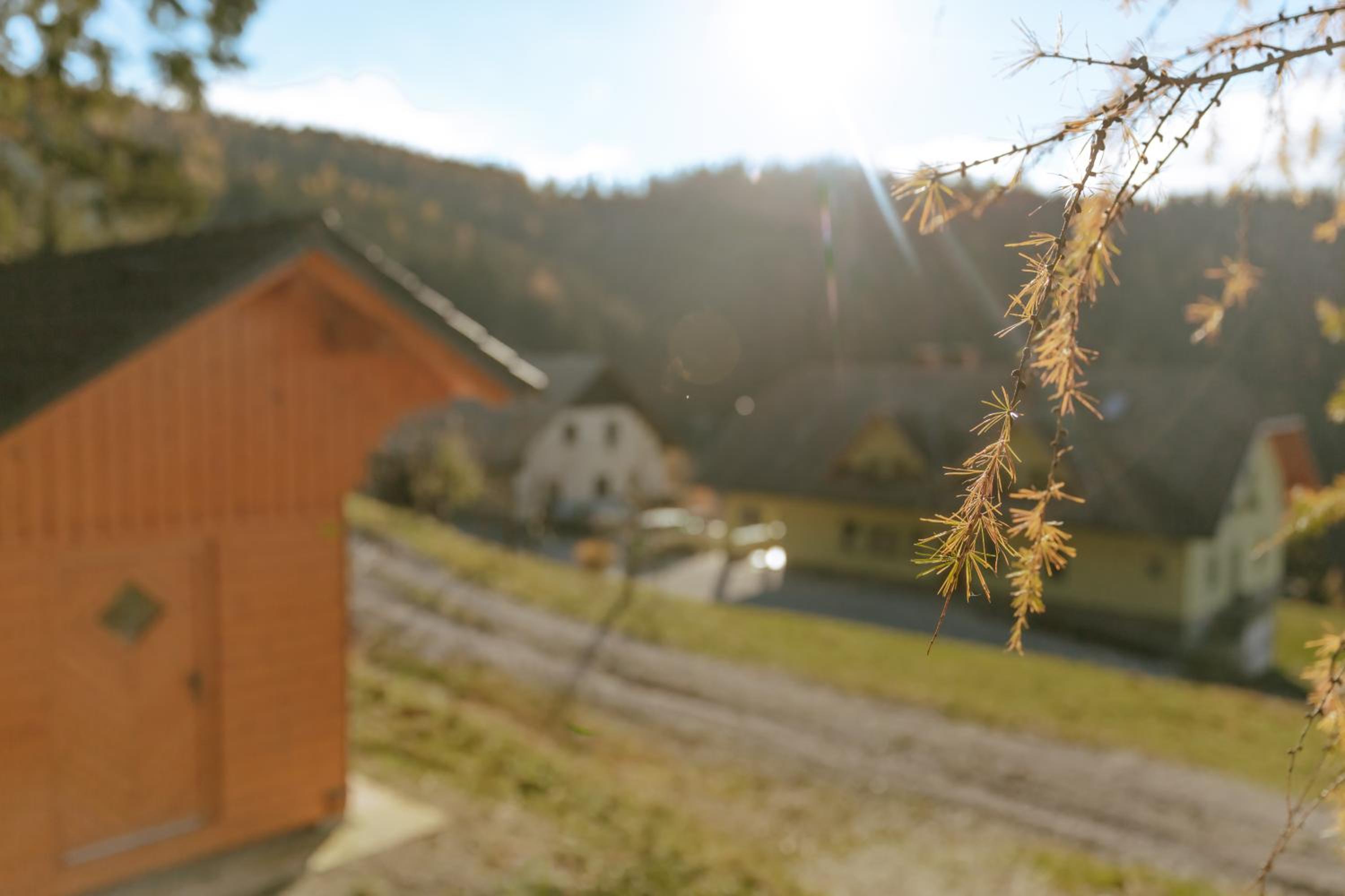 Apartments Čenda
