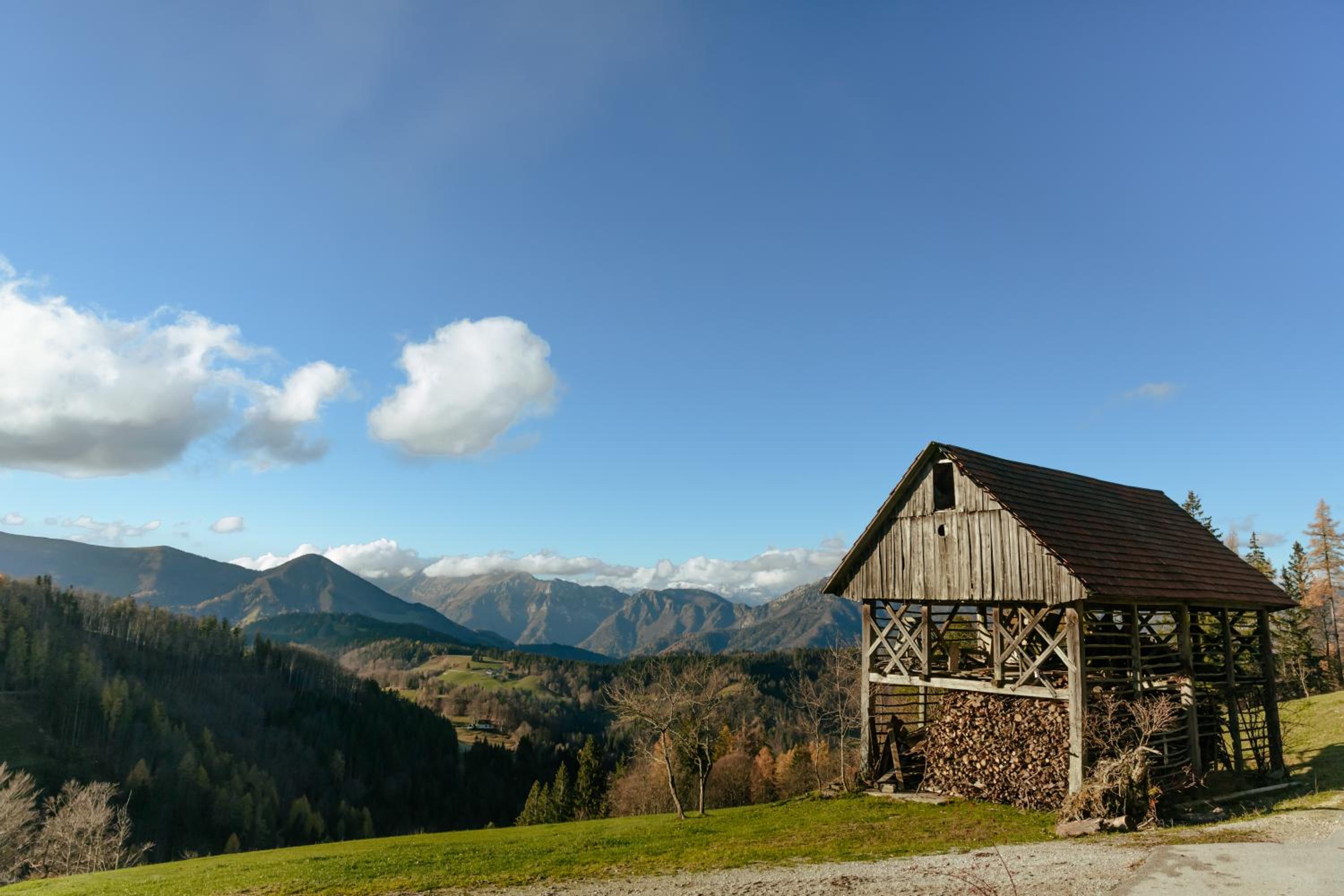 Apartments Čenda