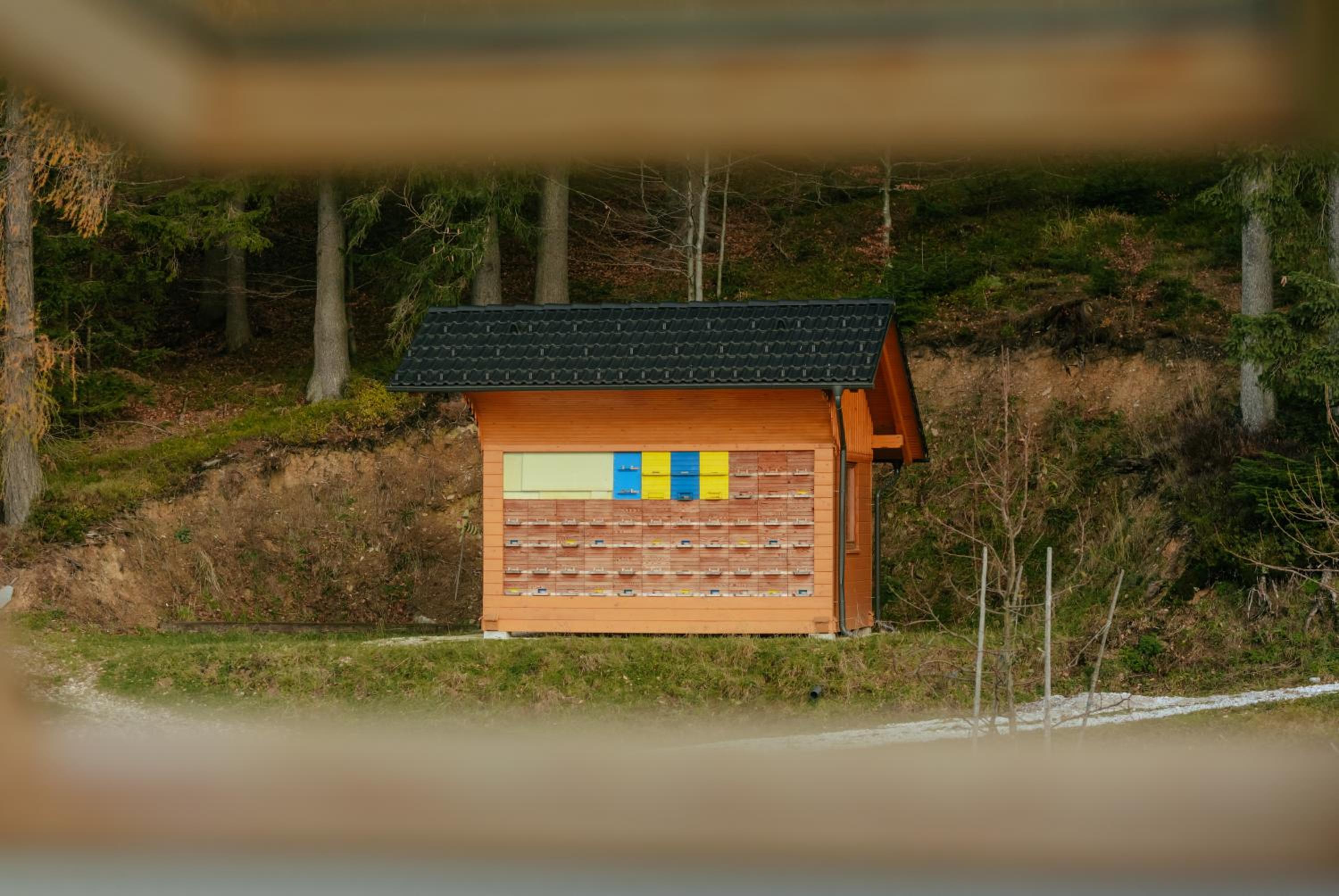 Apartments Čenda