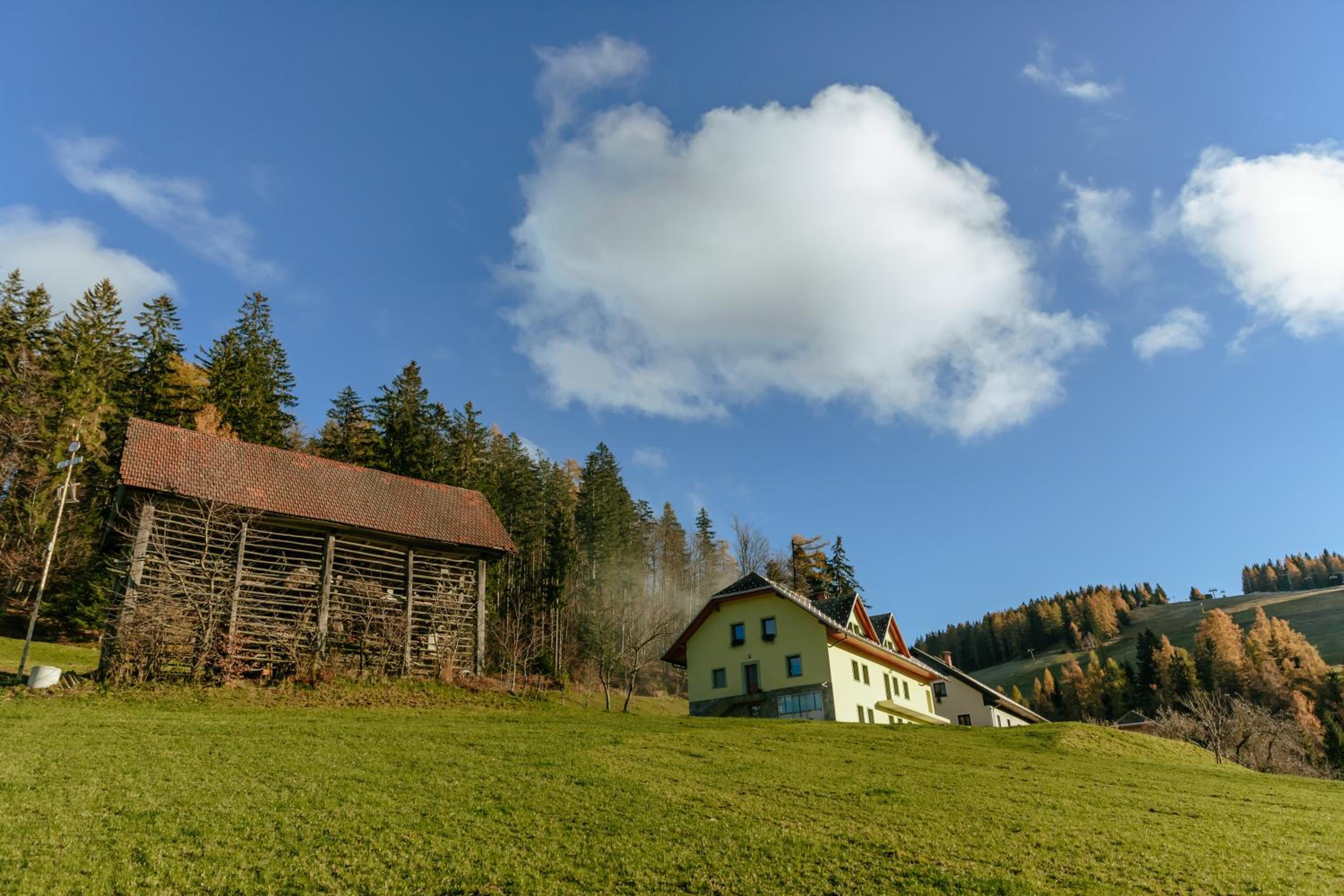 Apartments Čenda