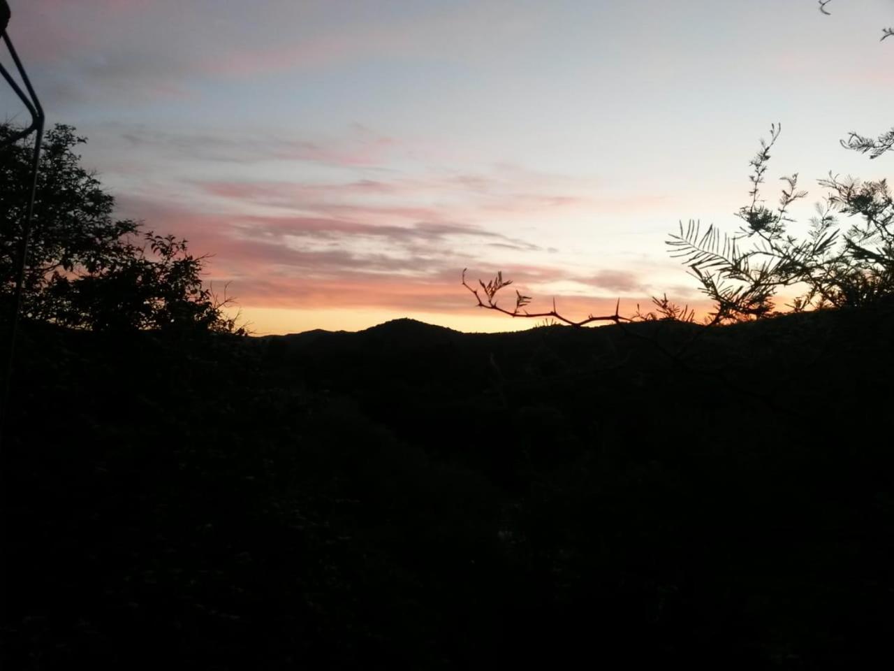 La Guarida