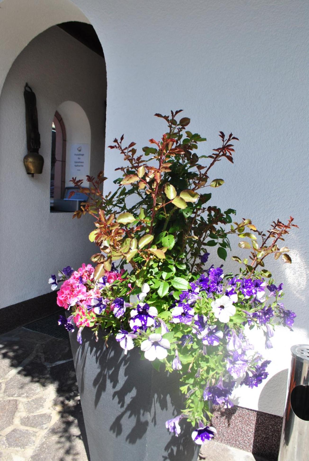Photo 64