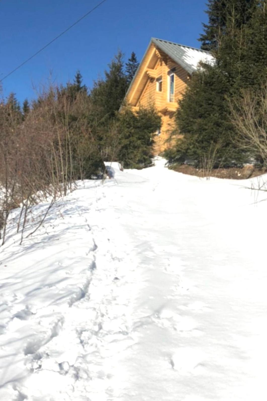 Alpenchalet Grabner Alm am Präbichl