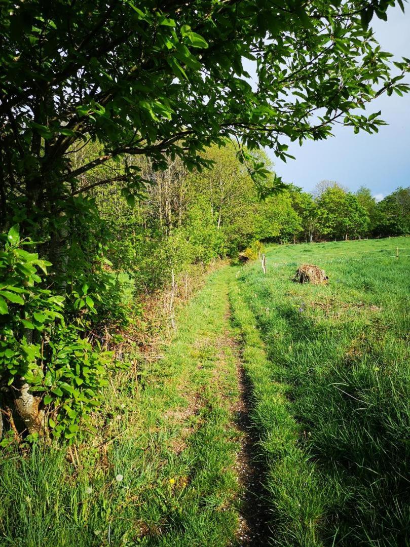 Photo 32