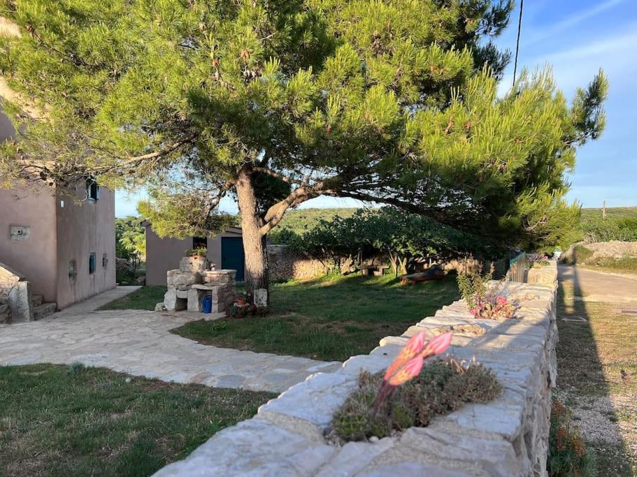 Holiday Apartment
