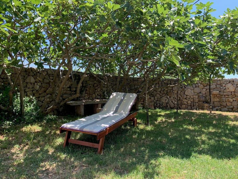 Holiday Apartment