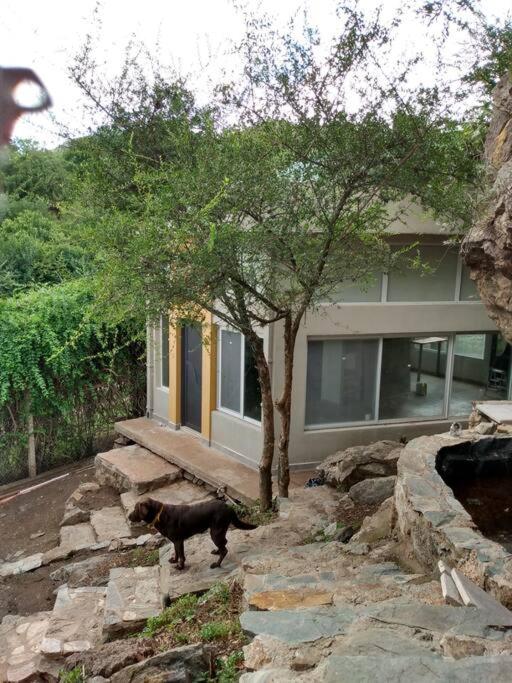 Koba, una experiencia memorable