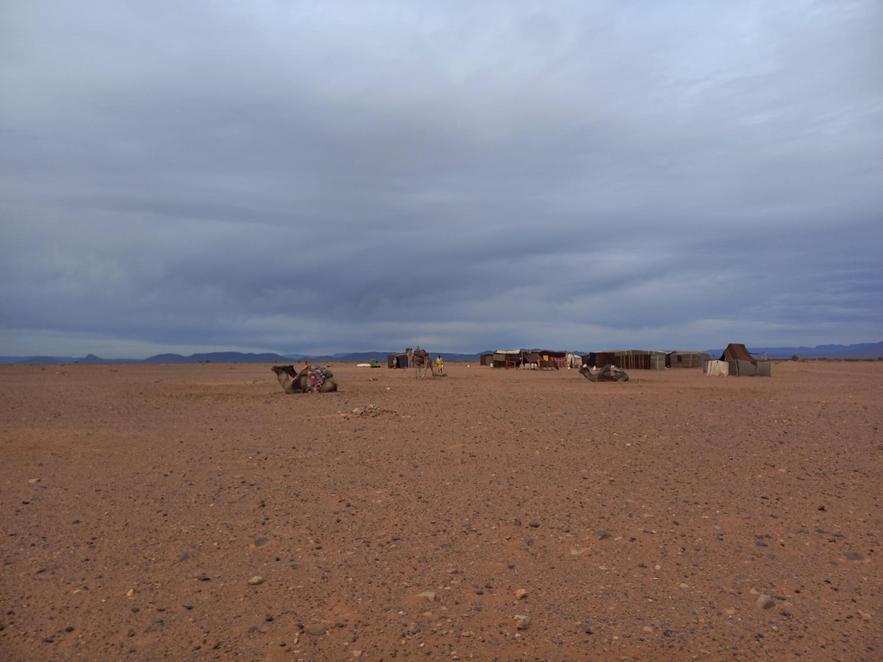 Riad Perlamazigh