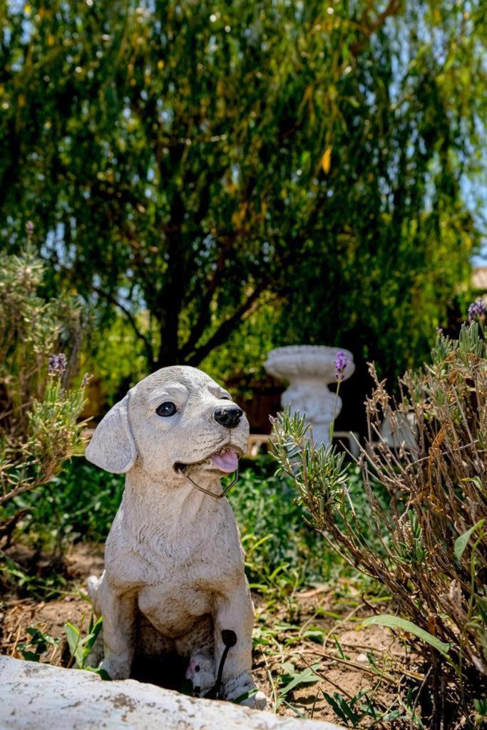 Photo 26