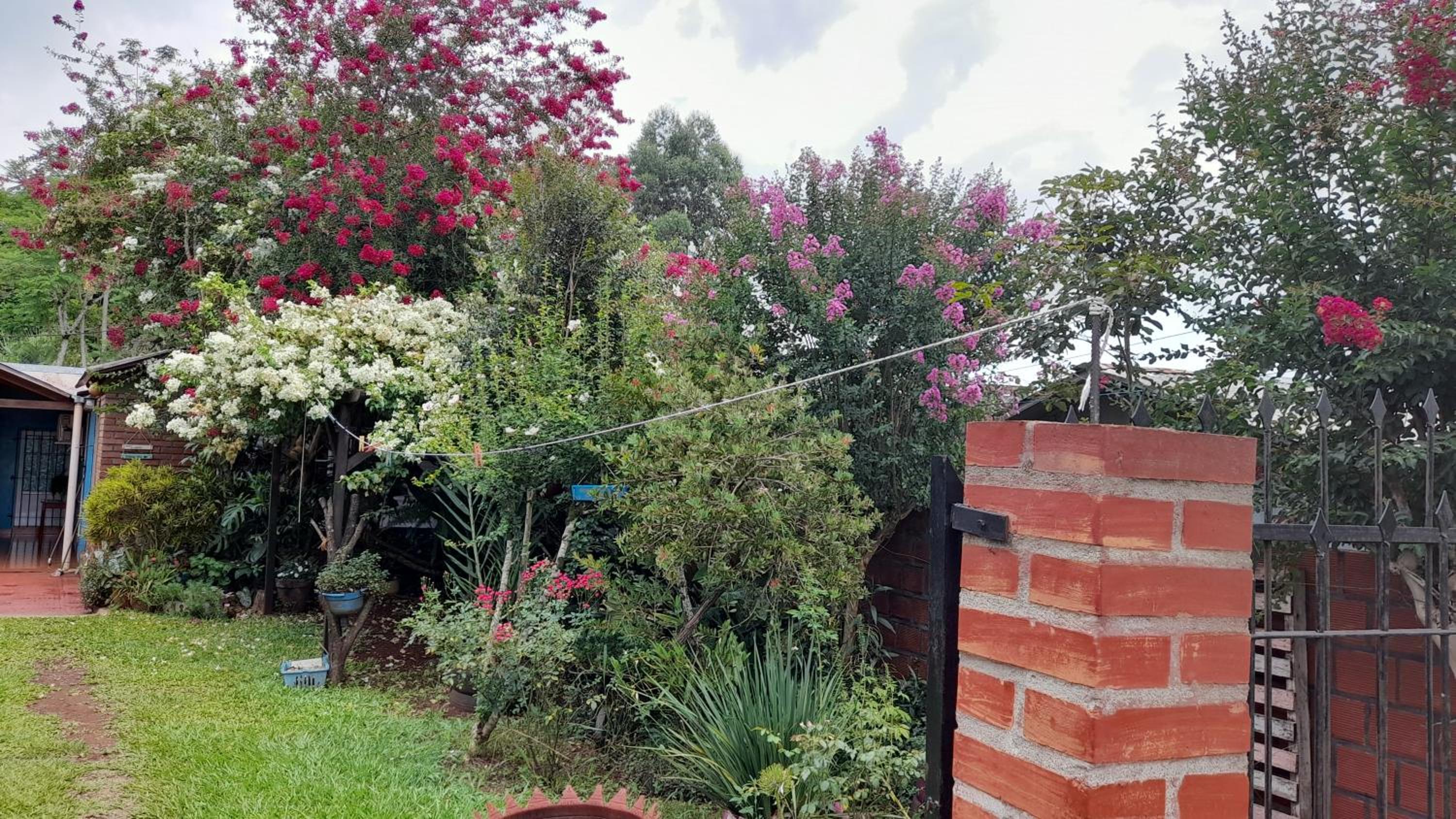 Jorge casa de las Orquídeas
