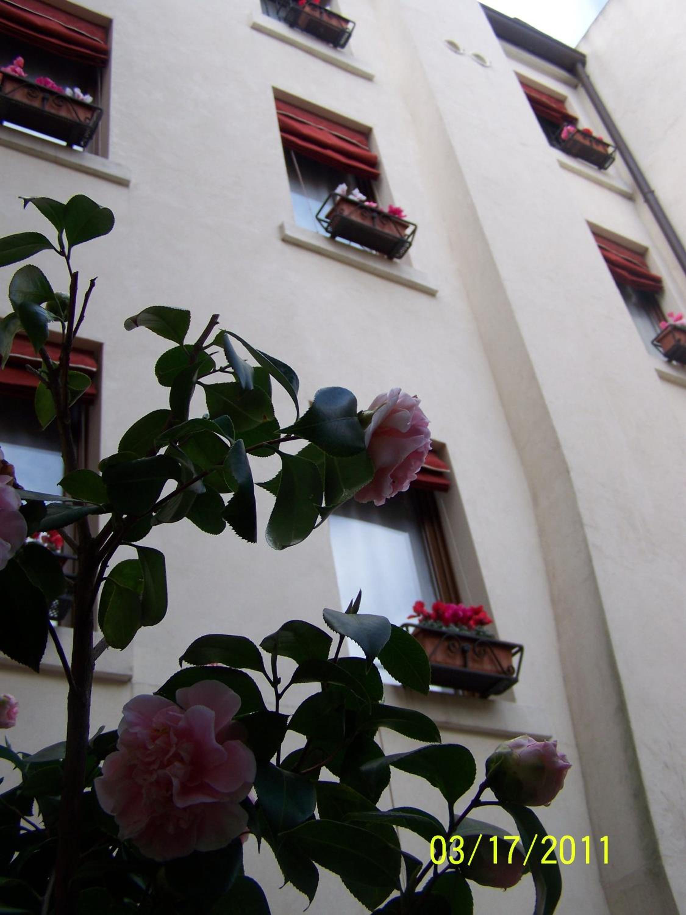 Guest House Delizia Estense