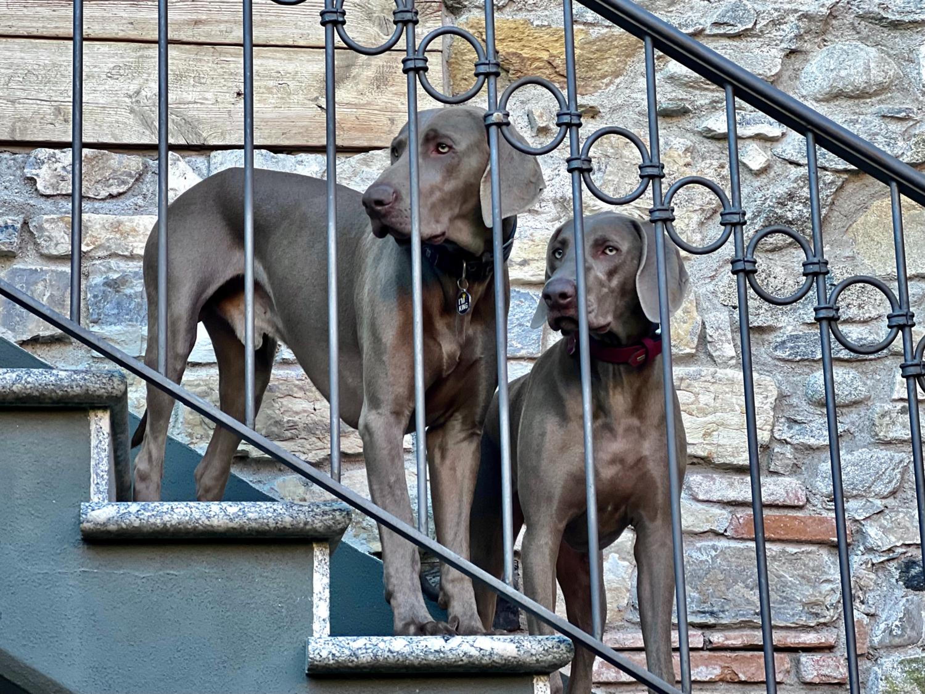 Heidi Bed and Breakfast en Albavilla
