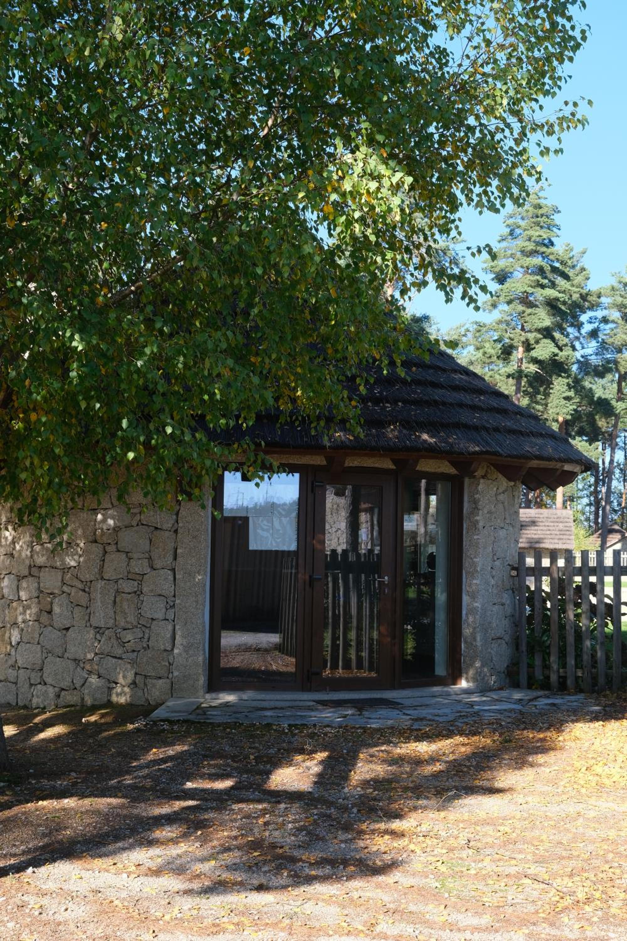 Photo 21