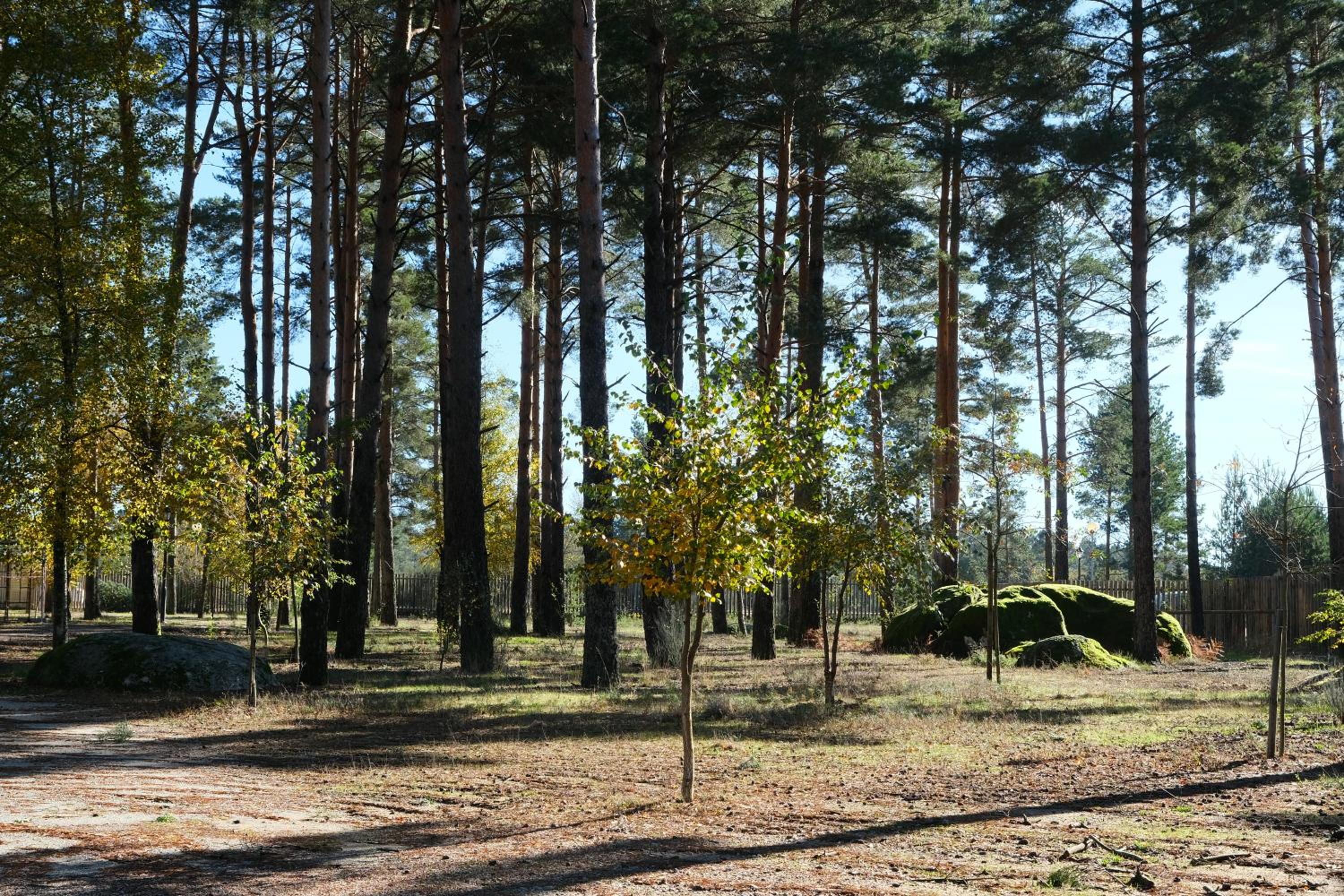 Photo 17