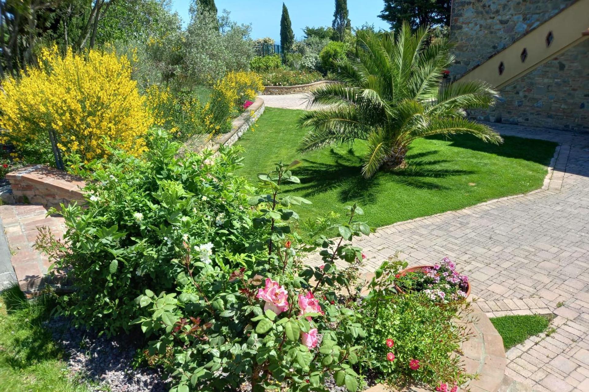 Photo 33