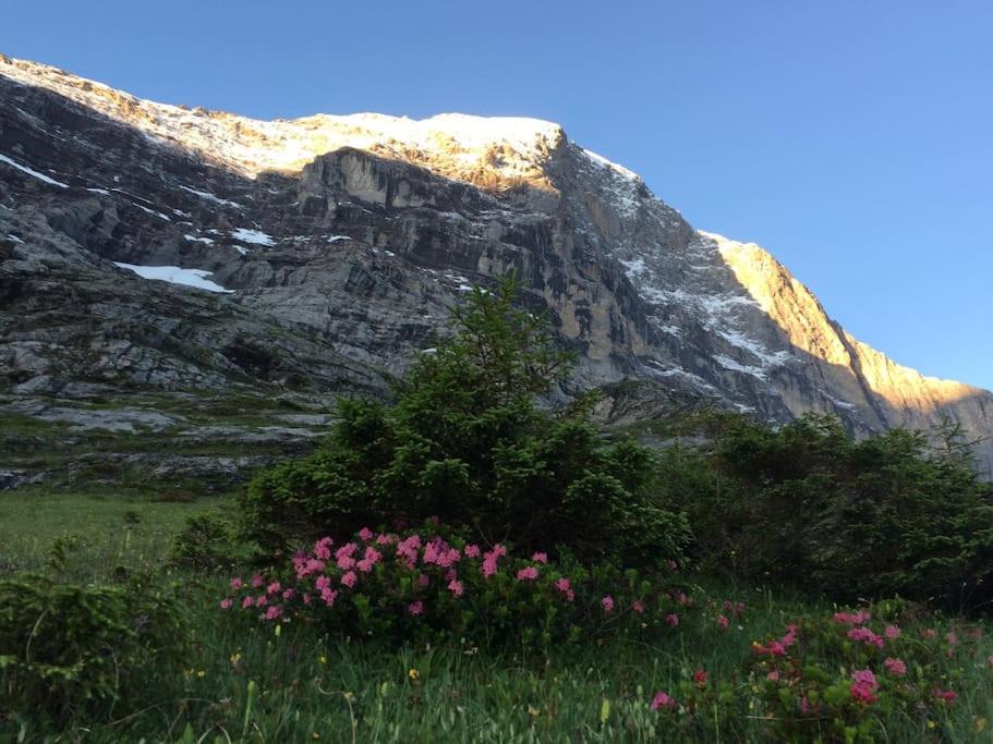 Chalet Eigernordwand