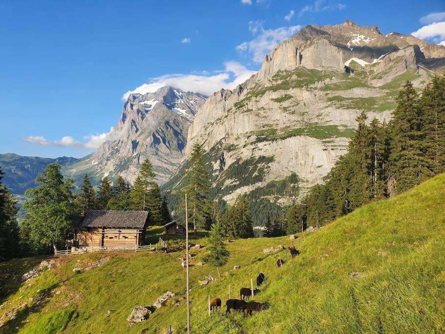 Chalet Eigernordwand