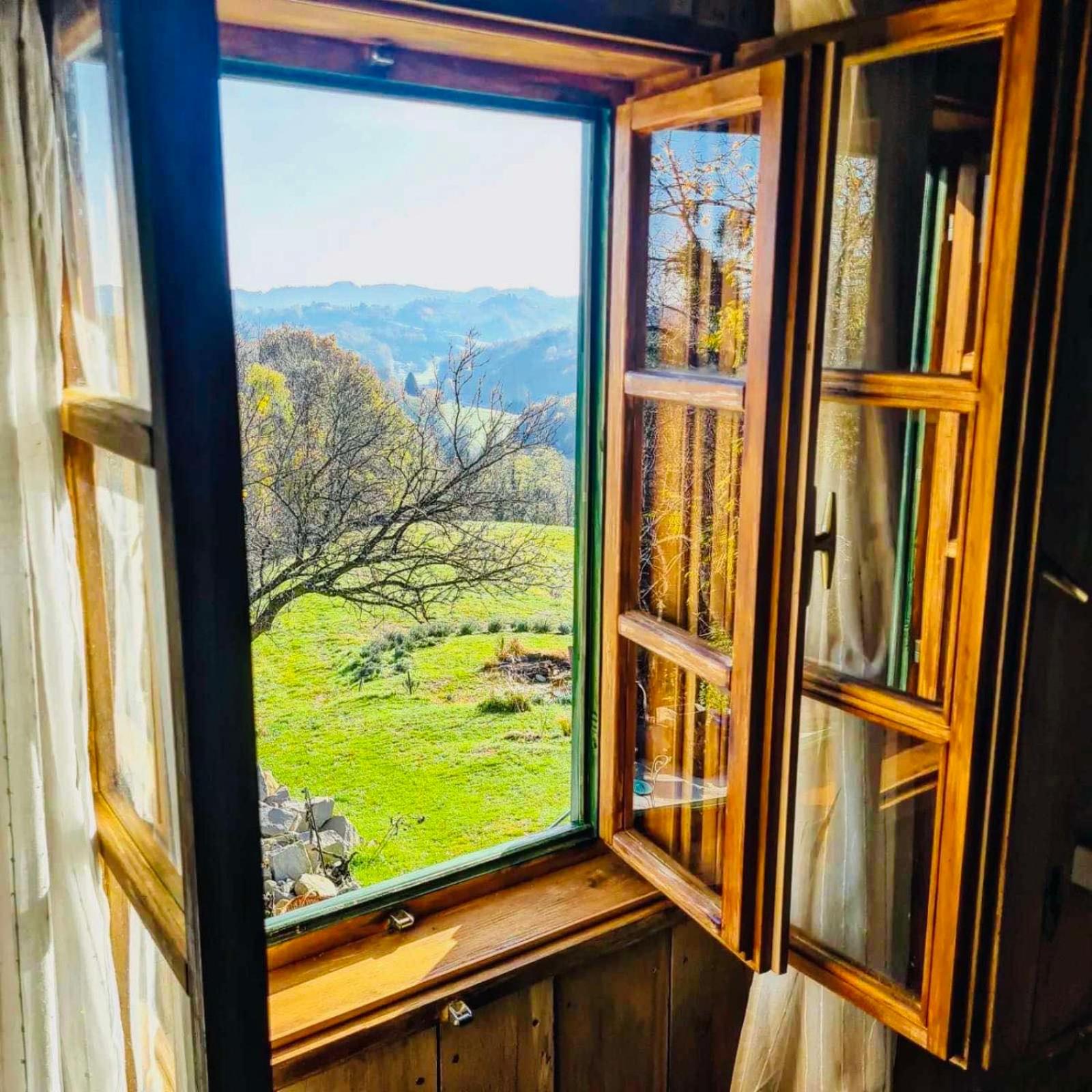 Estate Ana