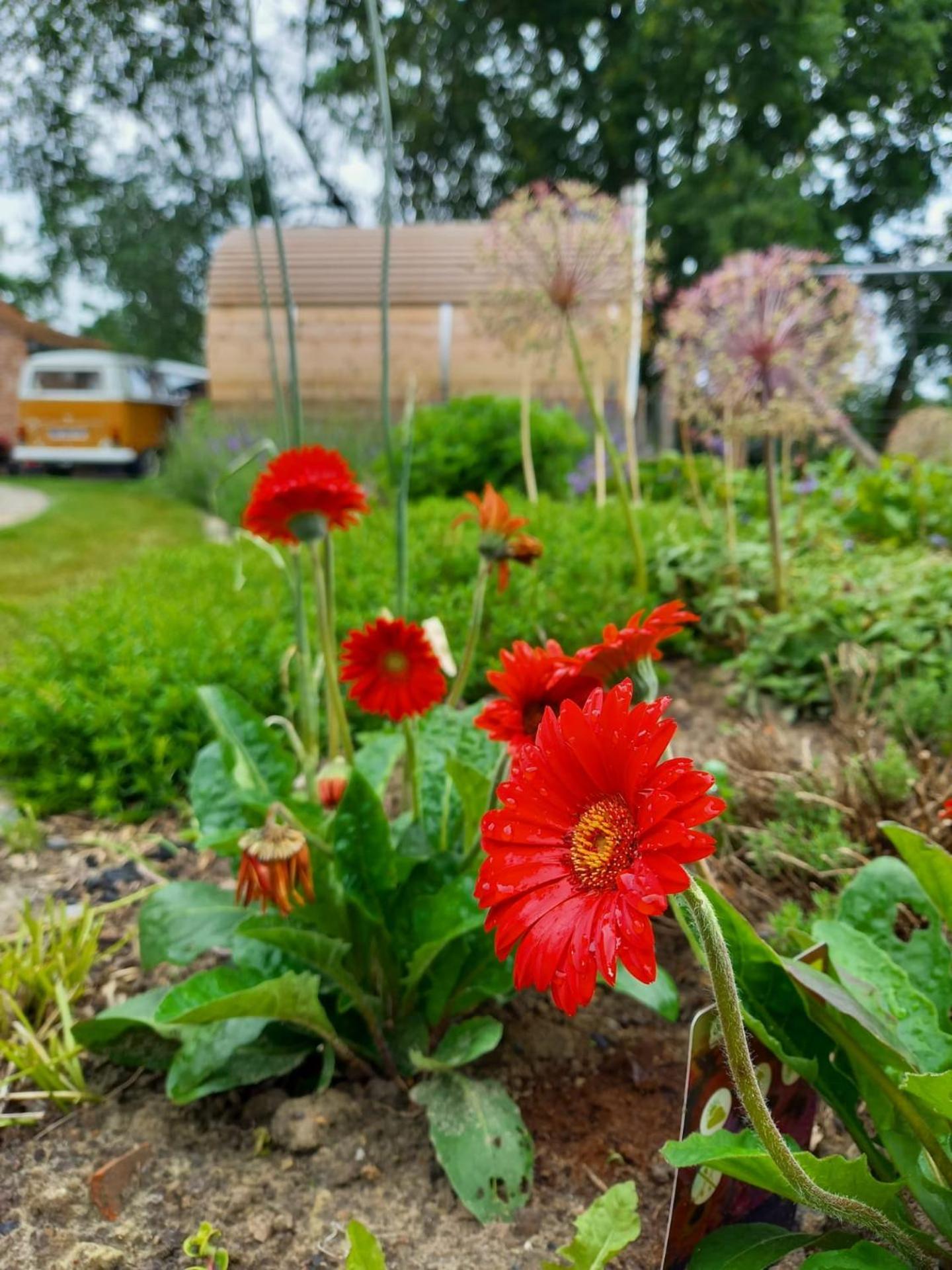Vakantiewoning Victors Hof tot 4 pers