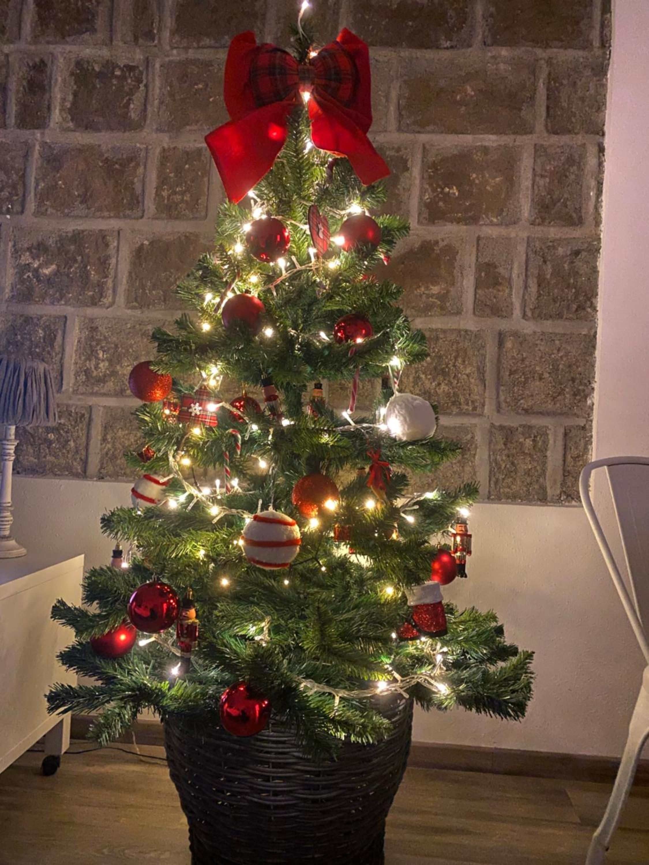 L'Albero della Vita view 4