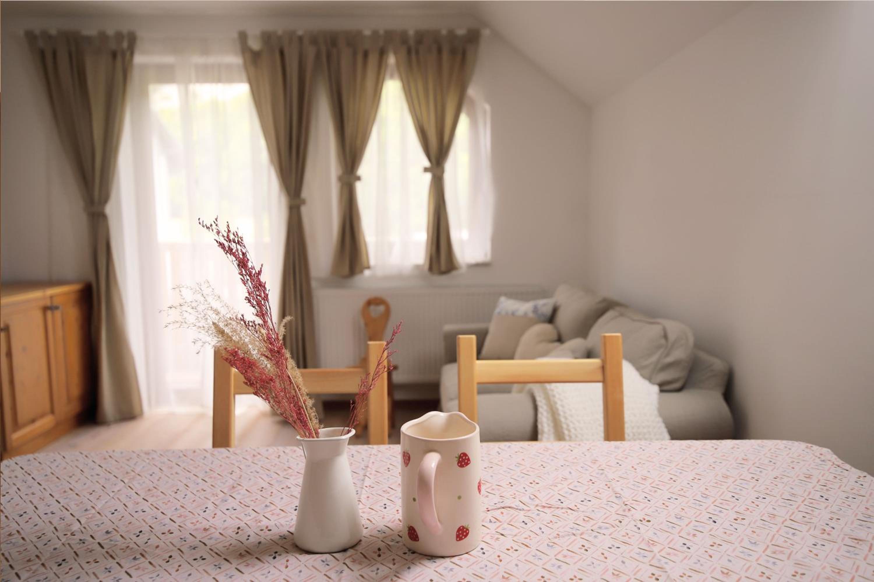 Apartments pr' Špeli view 5