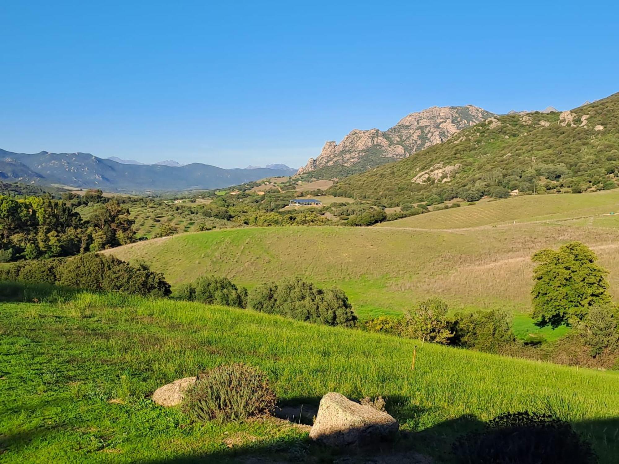 Ferme de Roccapina view 3