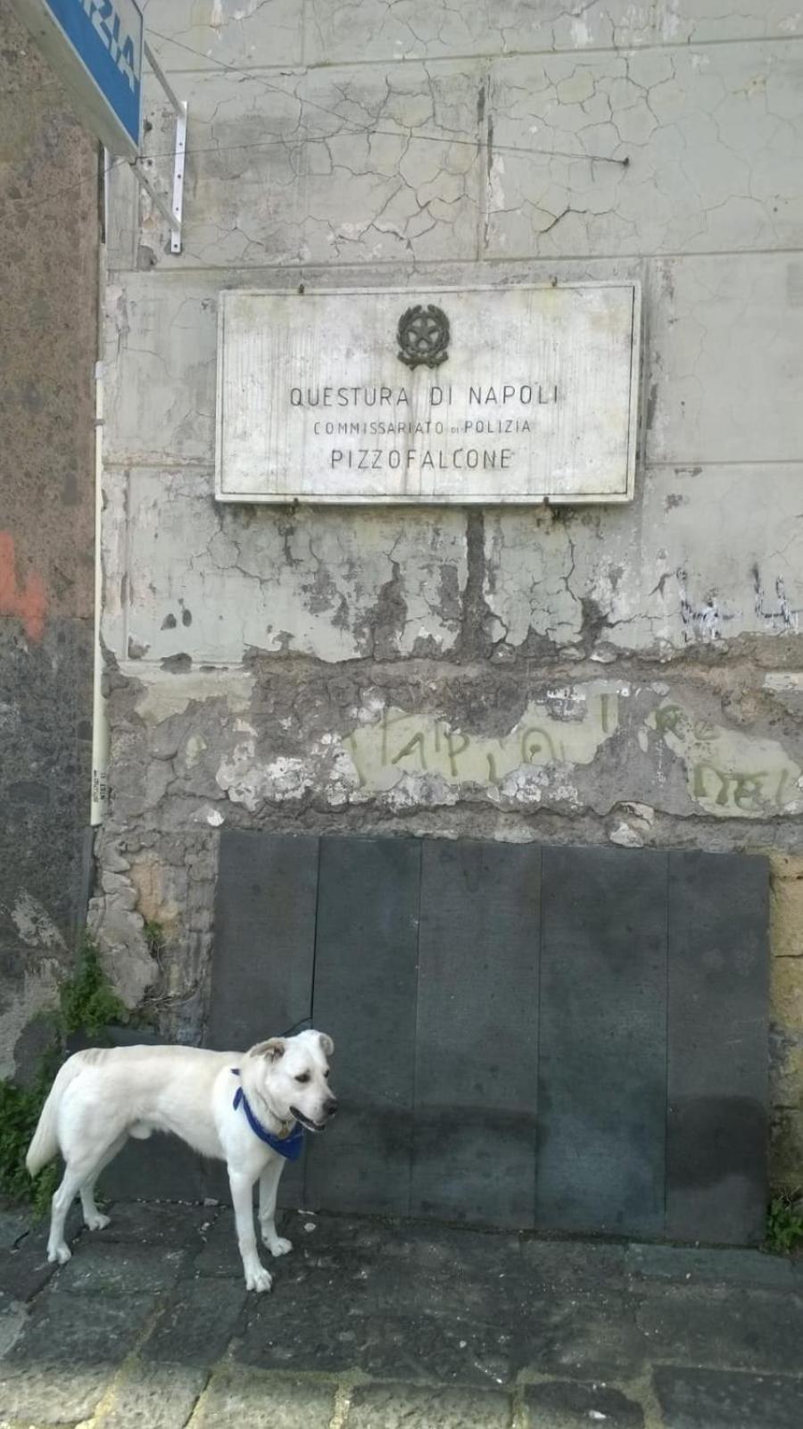 Casa Antica Pizzofalcone