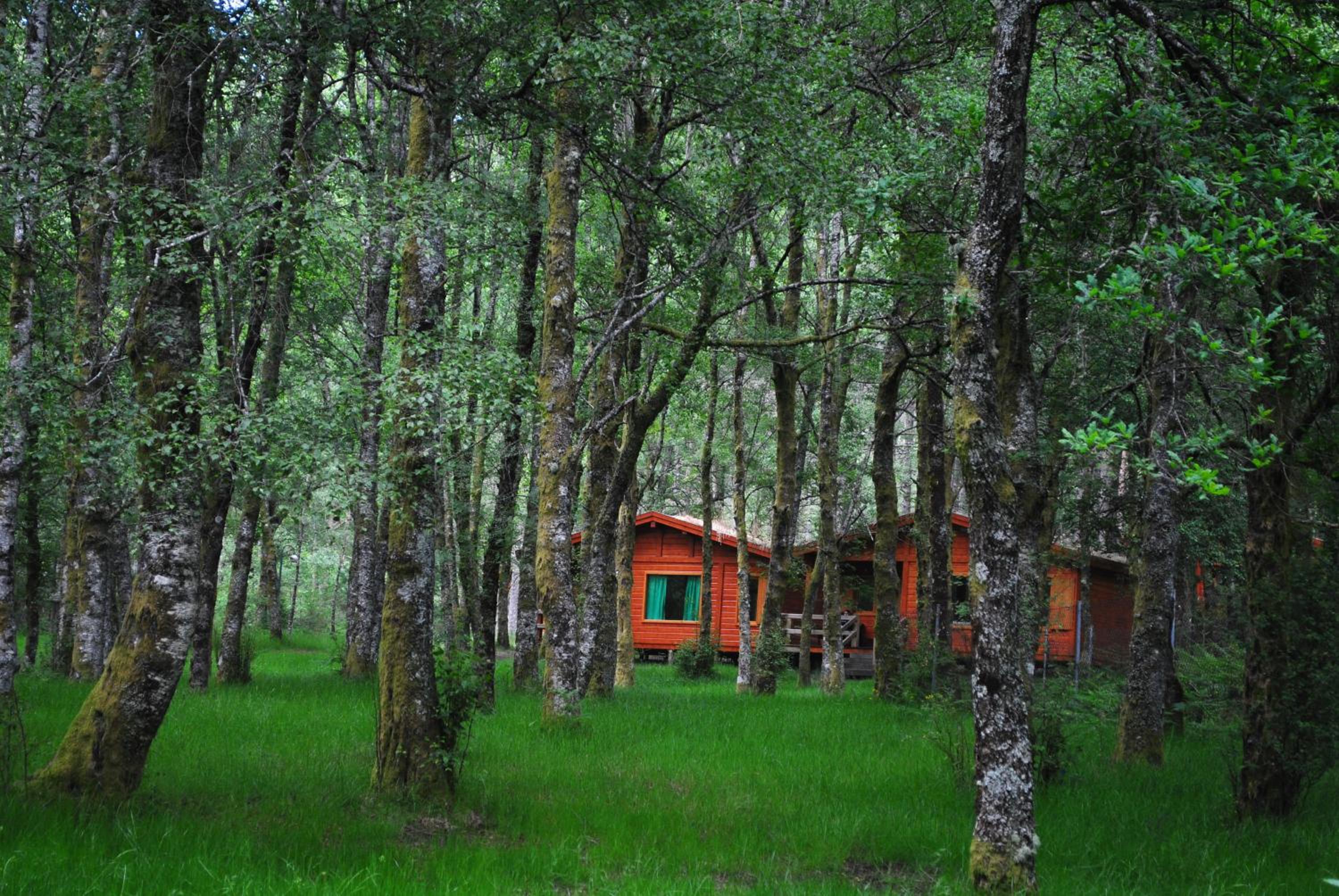Bungalows da Peneda view 2