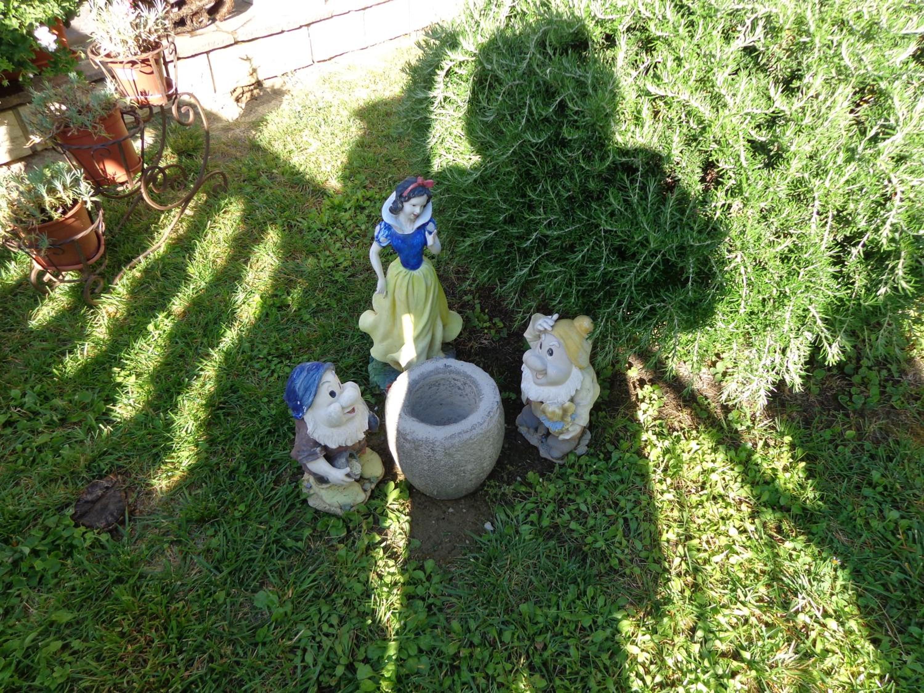 Photo 31