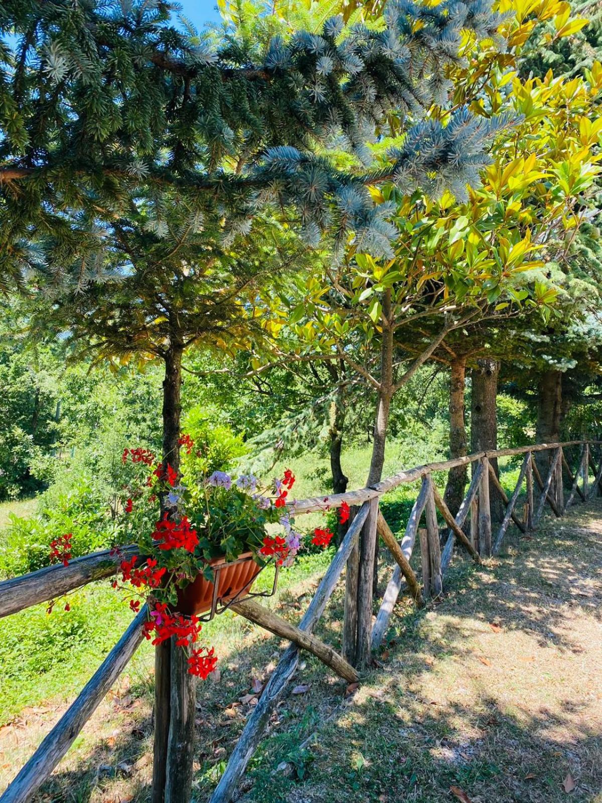 L'Antico Rifugio del Tasso