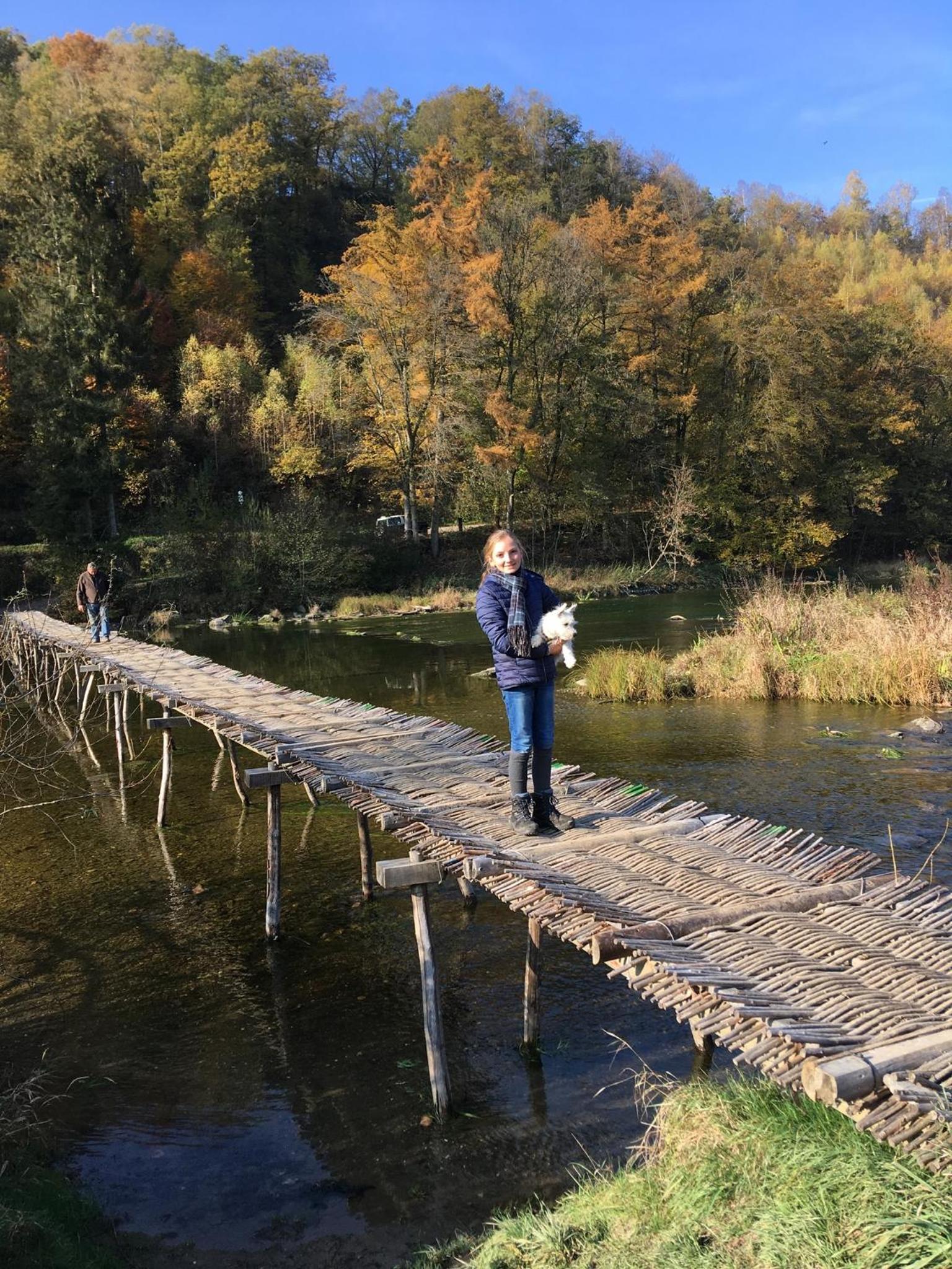 Gîte la Passerelle à Mouzaive
