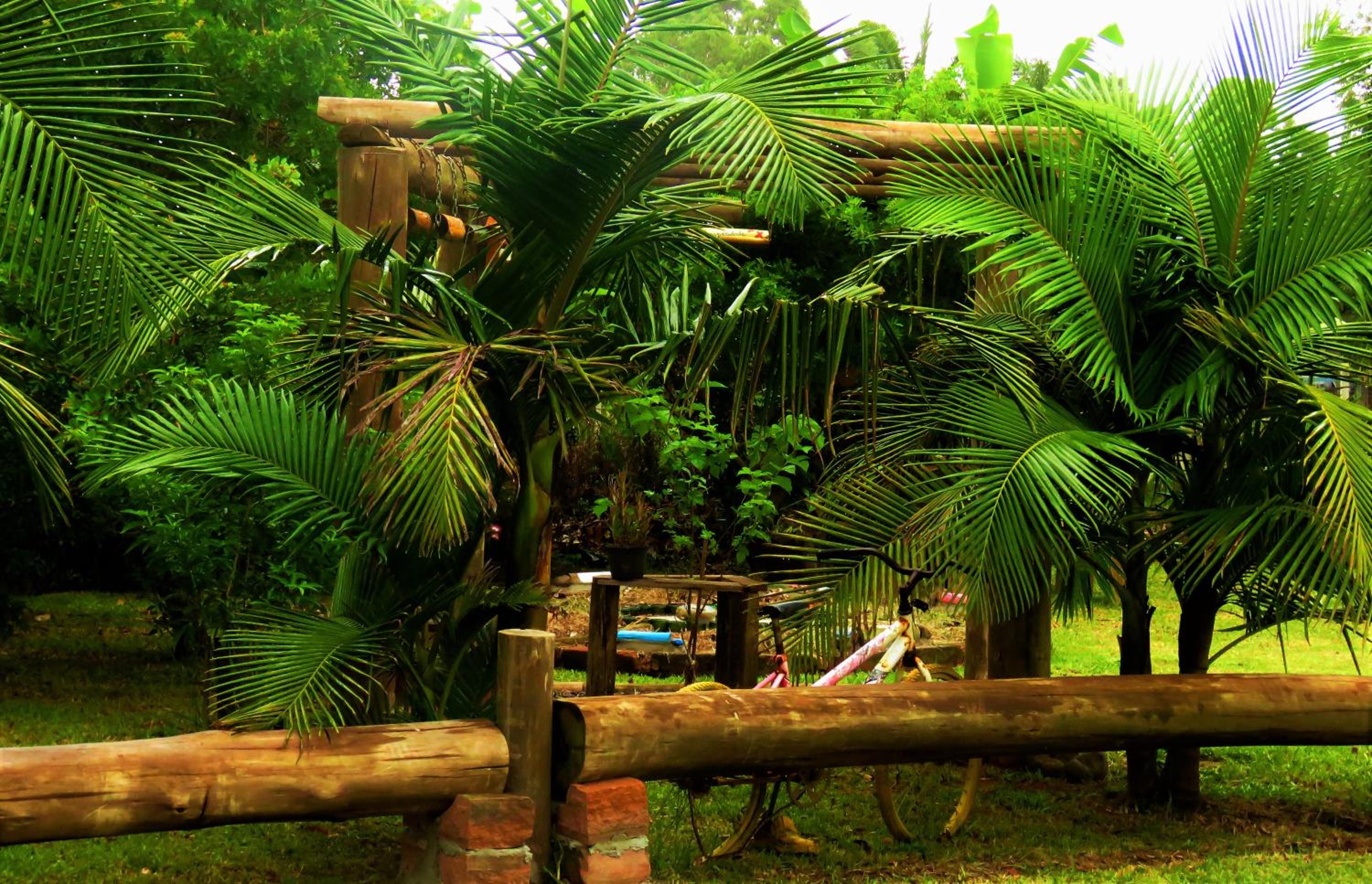 Hostel CASA DA PEDRA CHATA