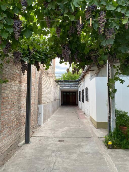 Casa Gattelli