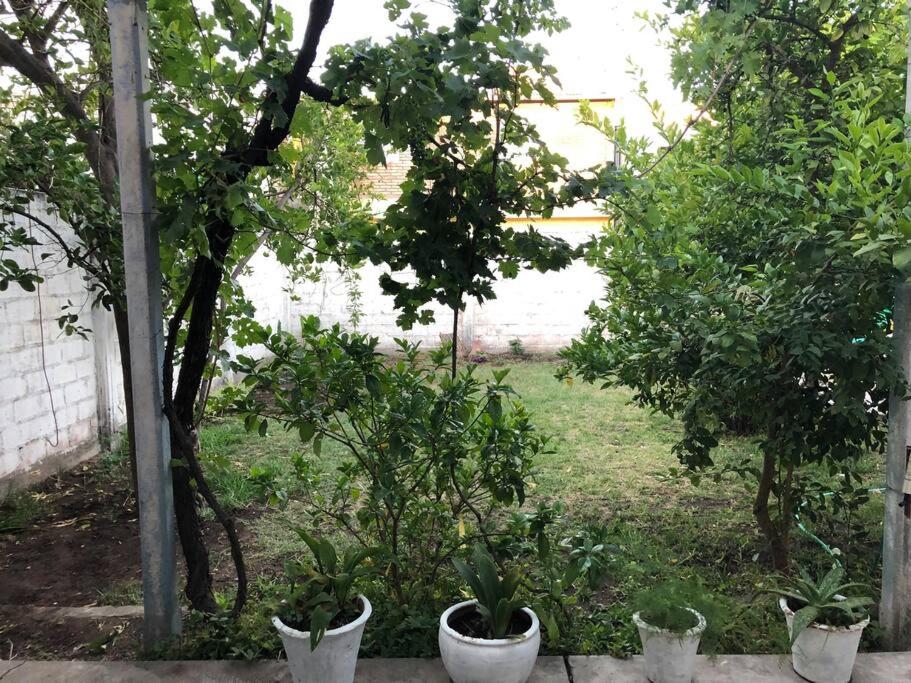 Casa Gattelli