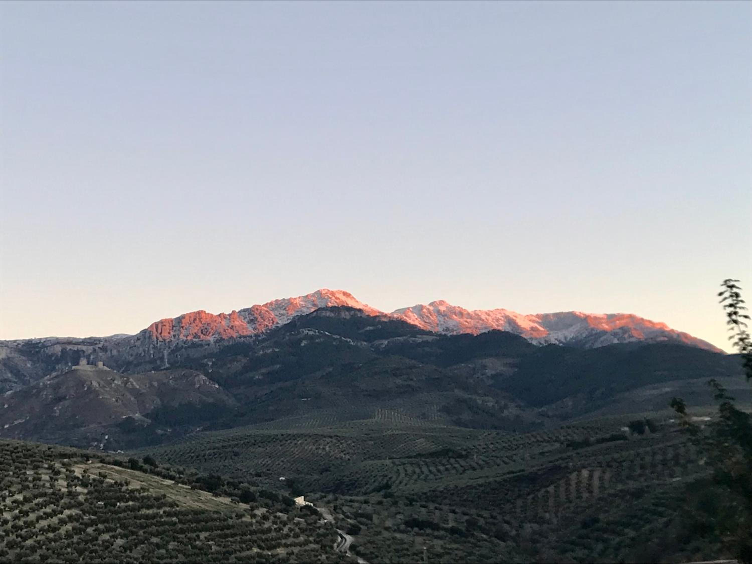 La Almedina casa Bellavista