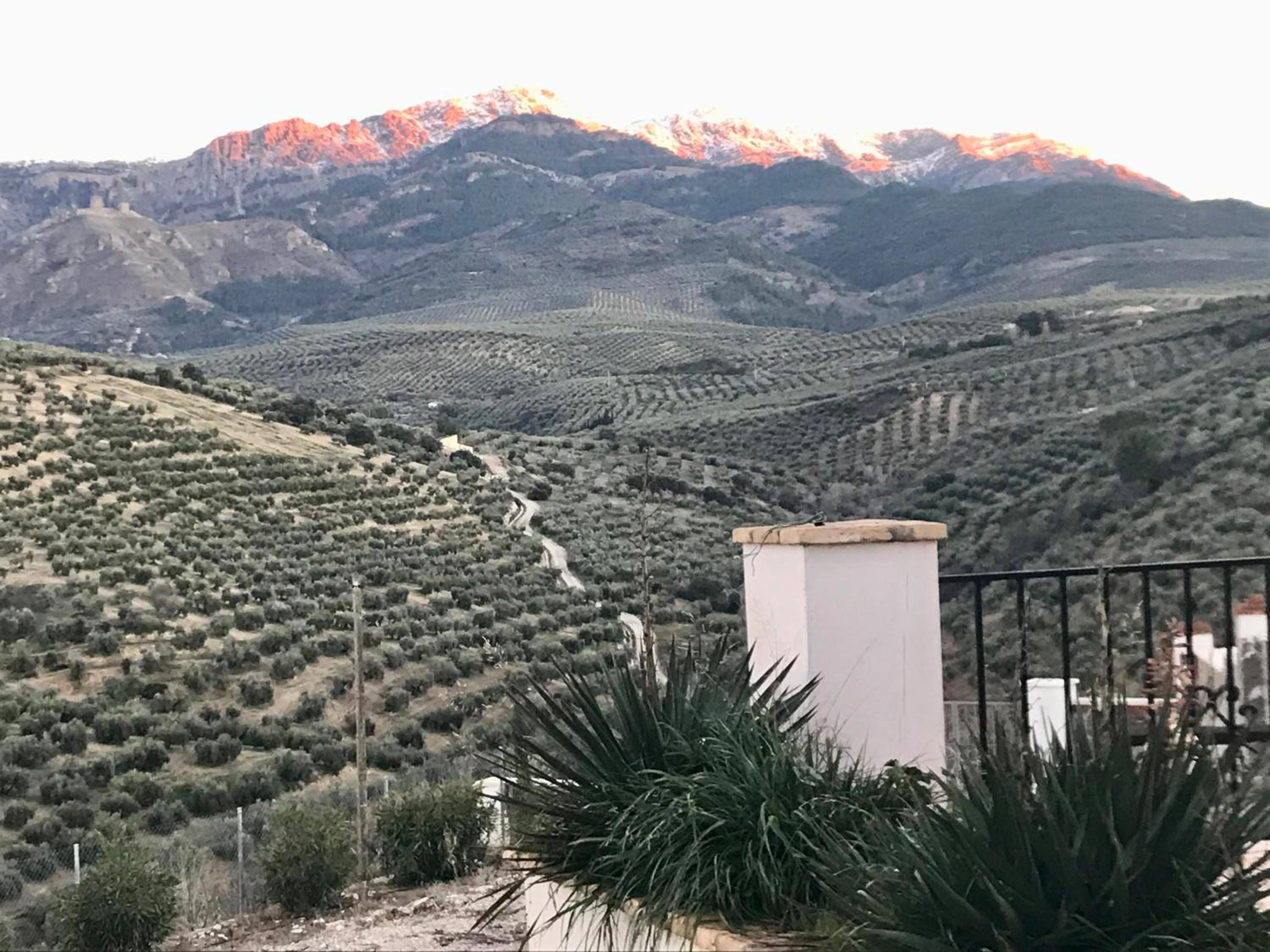 La Almedina casa Bellavista