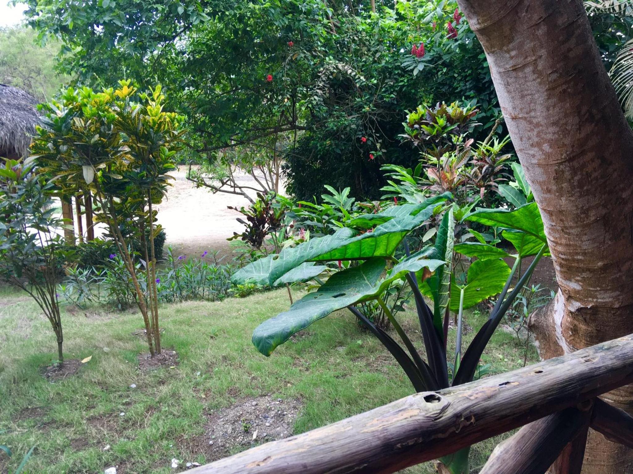Las Acacias Apts view 2