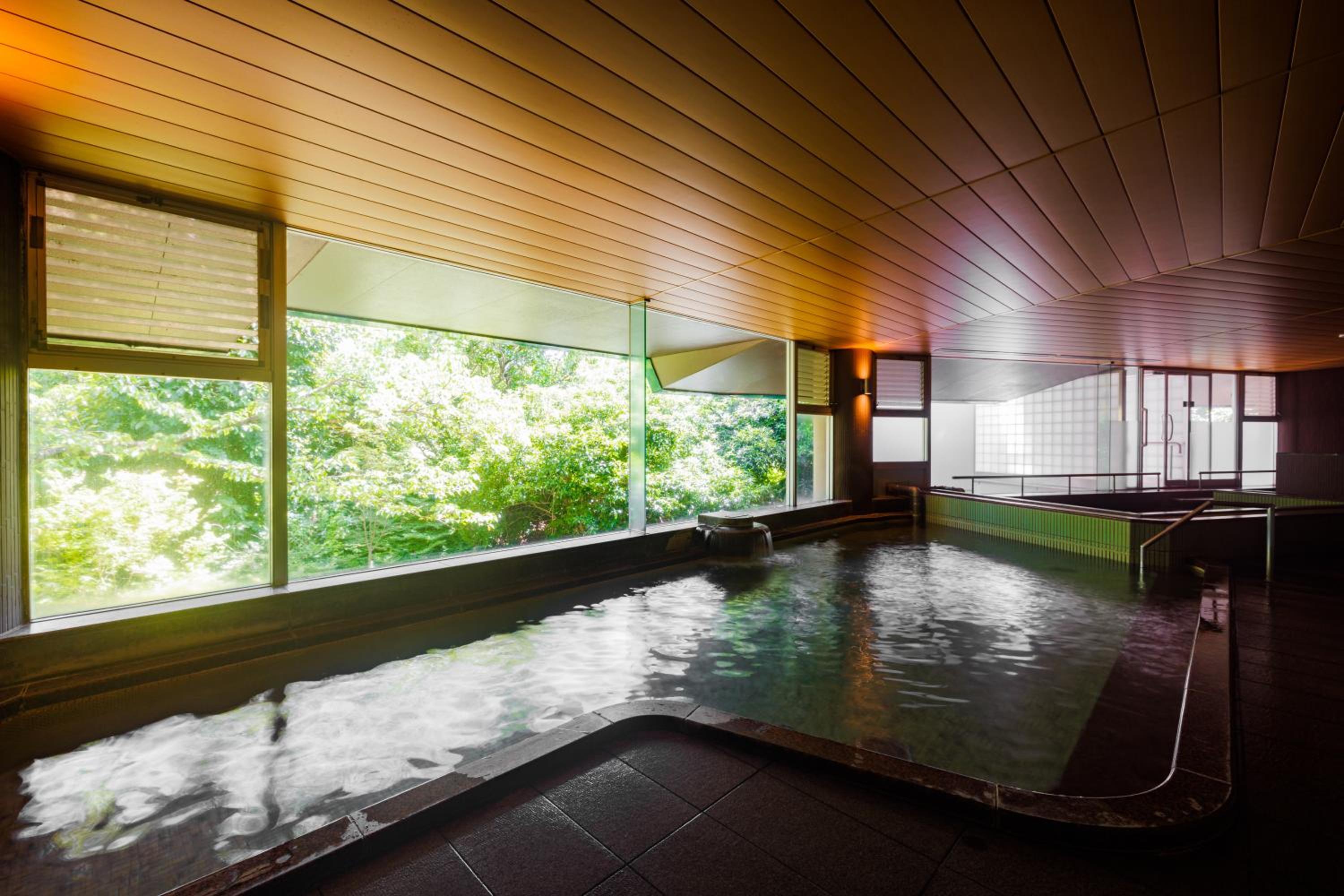 KAMENOI HOTEL Izukogen