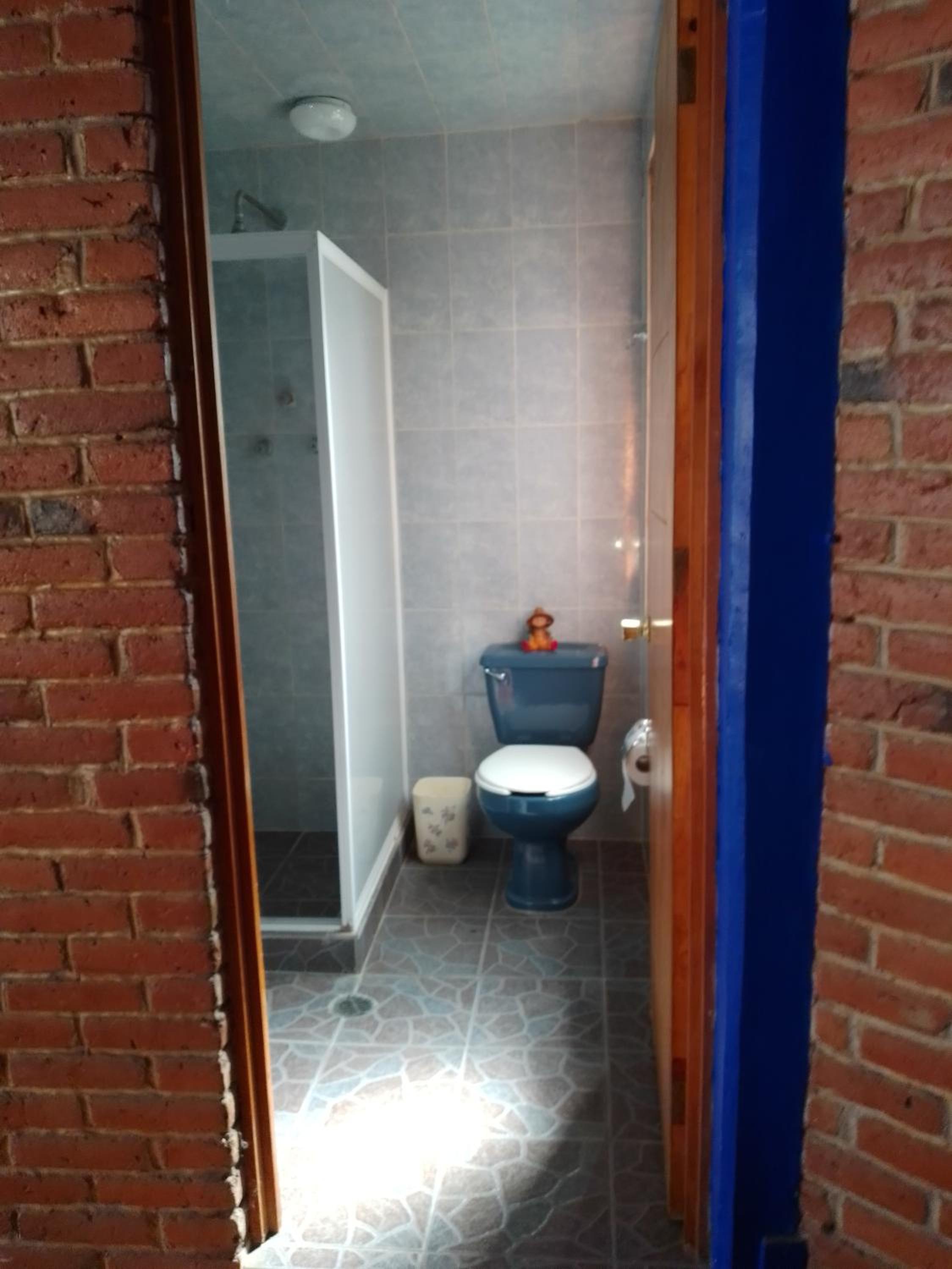 COYOACAN DEPARTAMENTO TIPO COLONIAL view 4