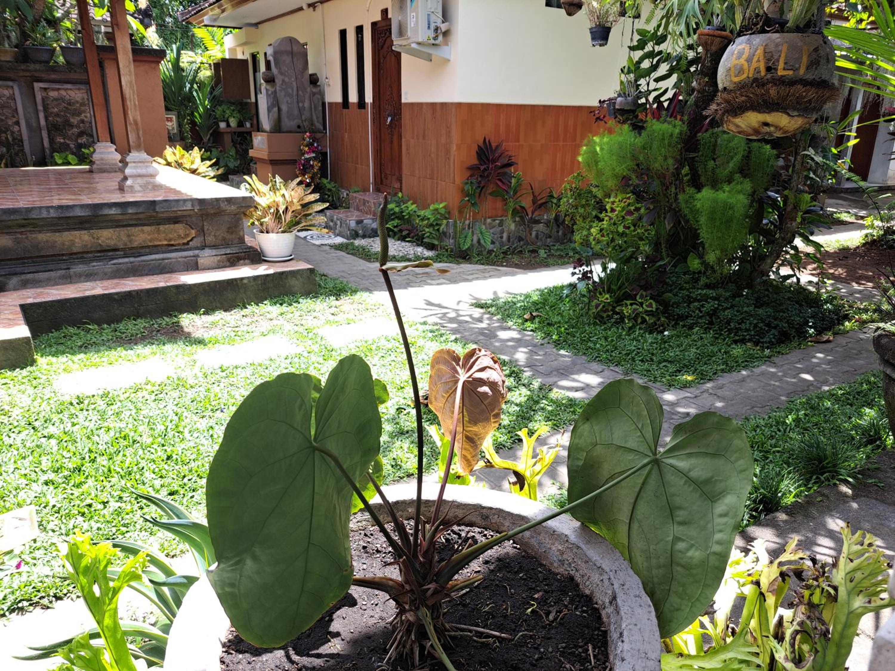 Photo 20