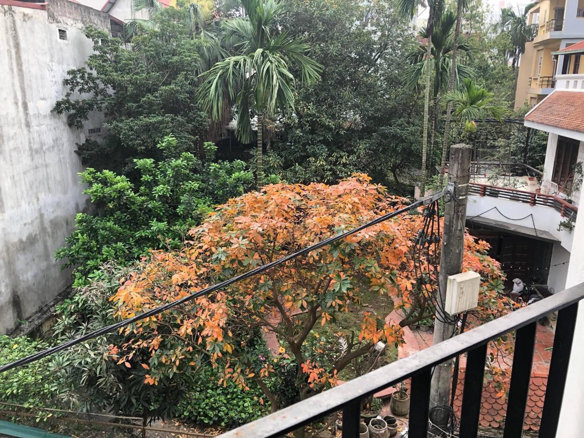 CRIN HOUSE Tây Hồ