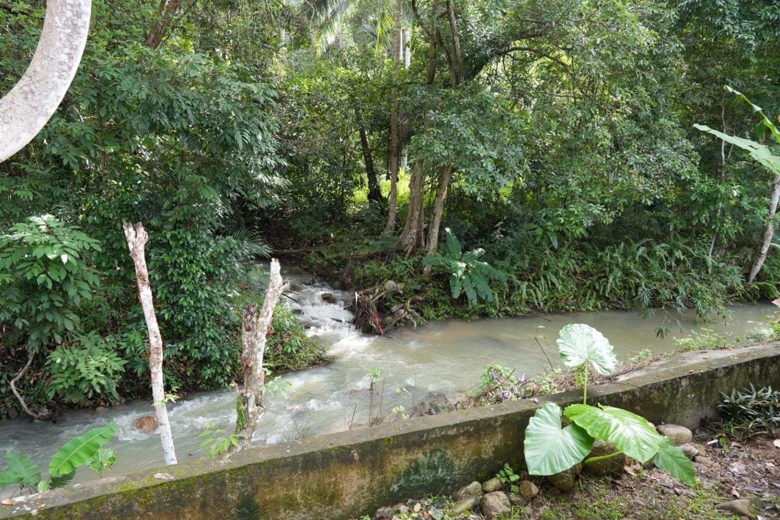 Tara Resort, photo 26