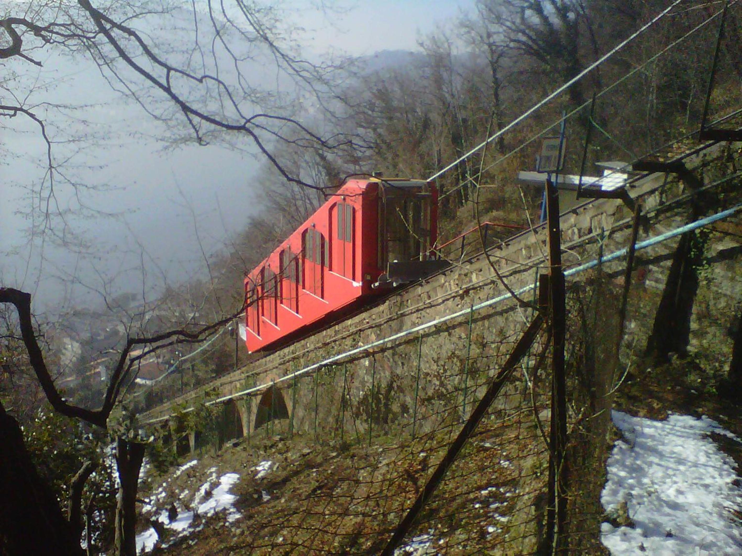 Photo 48