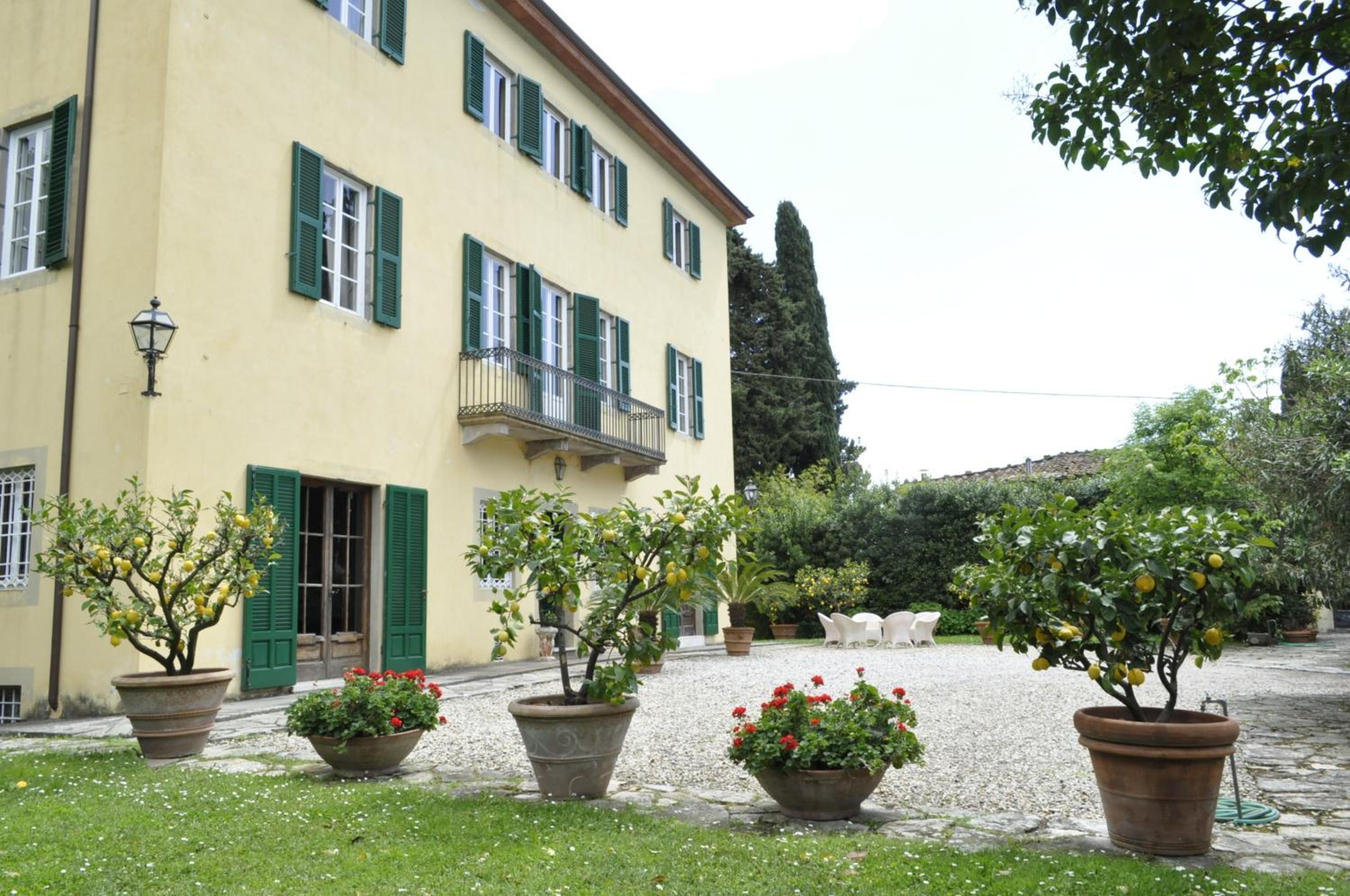 Photo 6