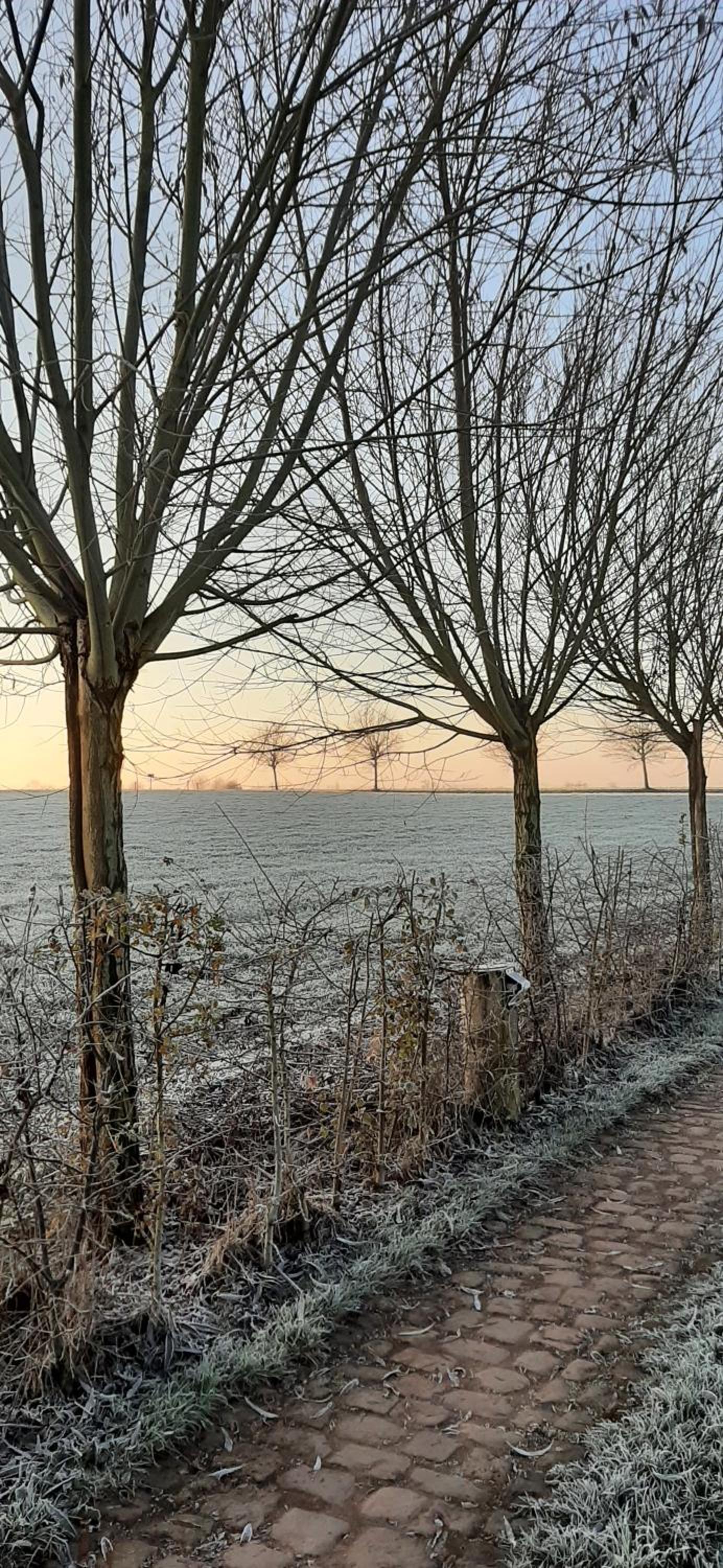 B & B Victors Hof, met zwemvijver en leuke diertjes