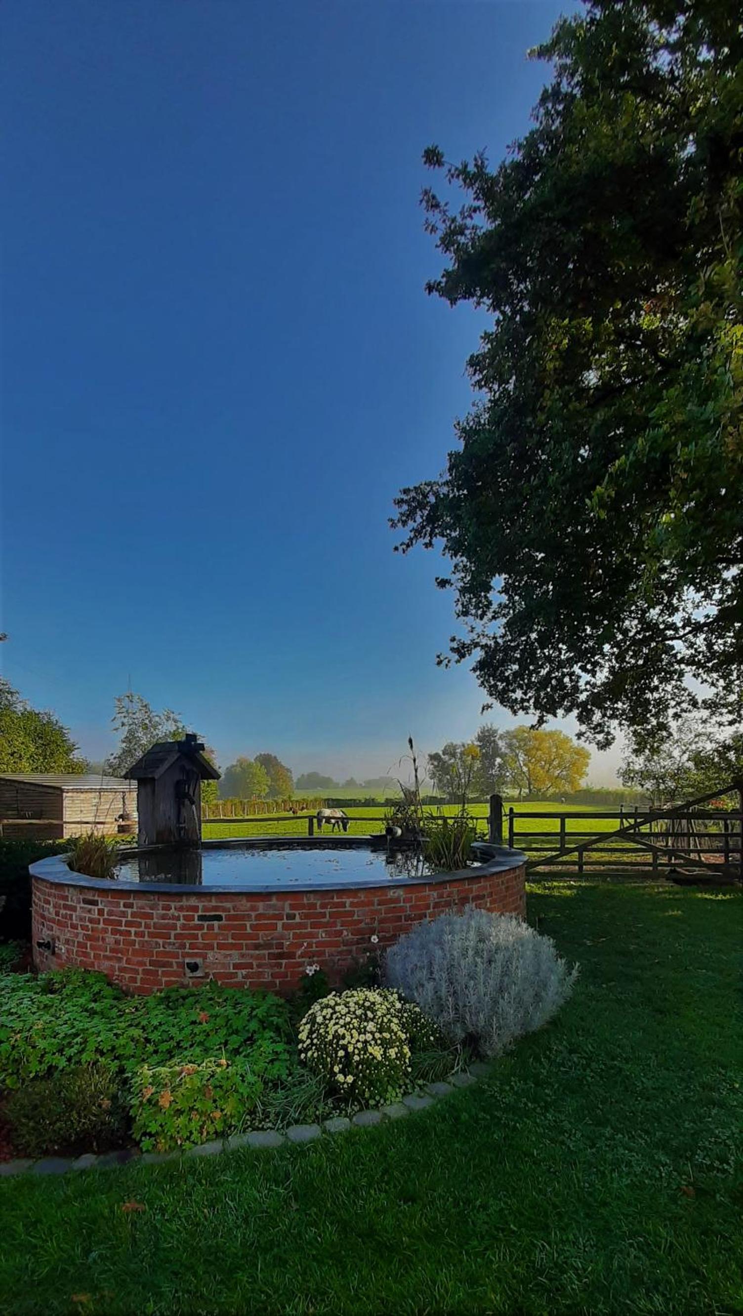B & B Victors Hof, met zwemvijver en leuke diertjes